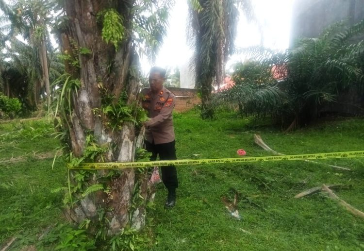 sesosok mayat pria ditemukan di perladangan kelapa sawit milik masyarakat di simpang nagojor, kecamatan tanah jawa.