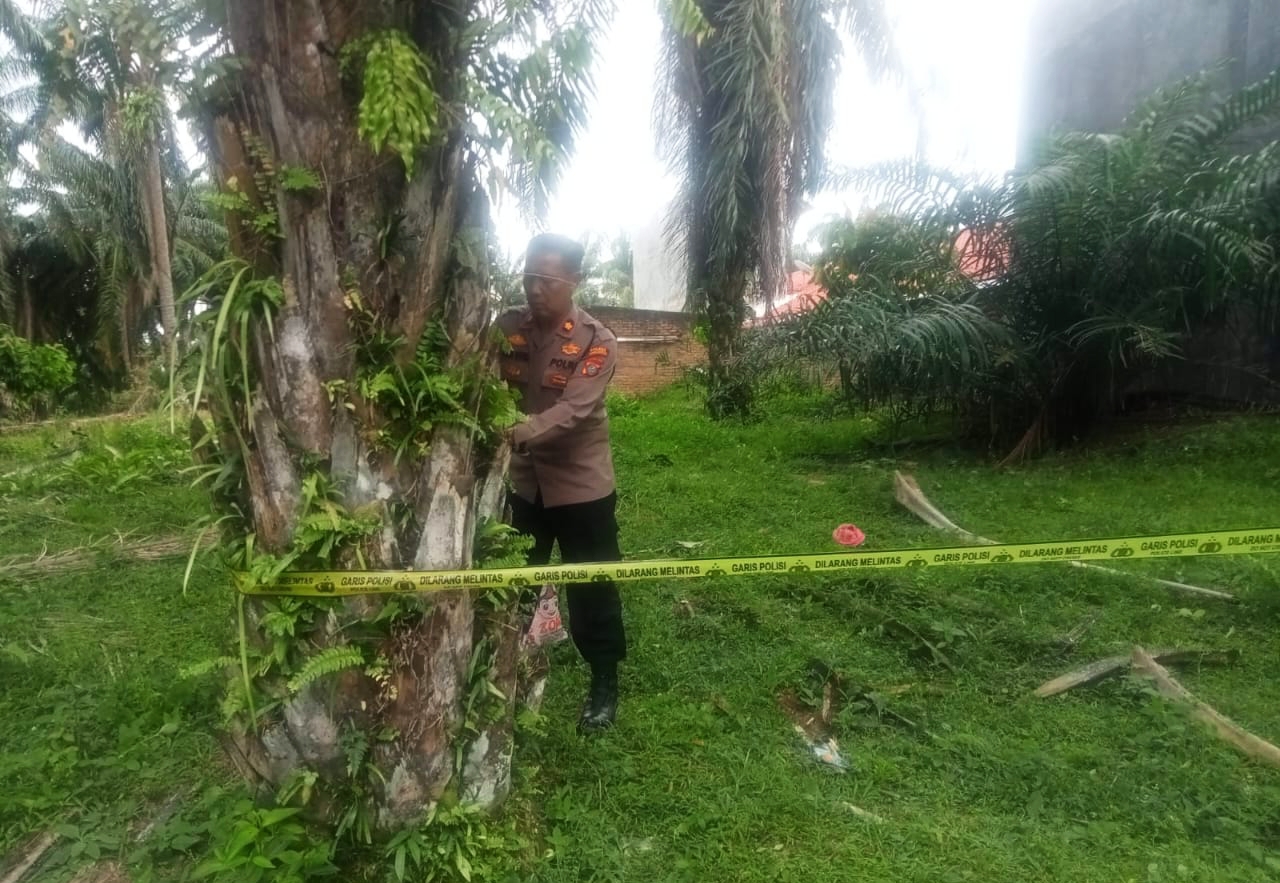 sesosok mayat pria ditemukan di perladangan kelapa sawit milik masyarakat di simpang nagojor, kecamatan tanah jawa.