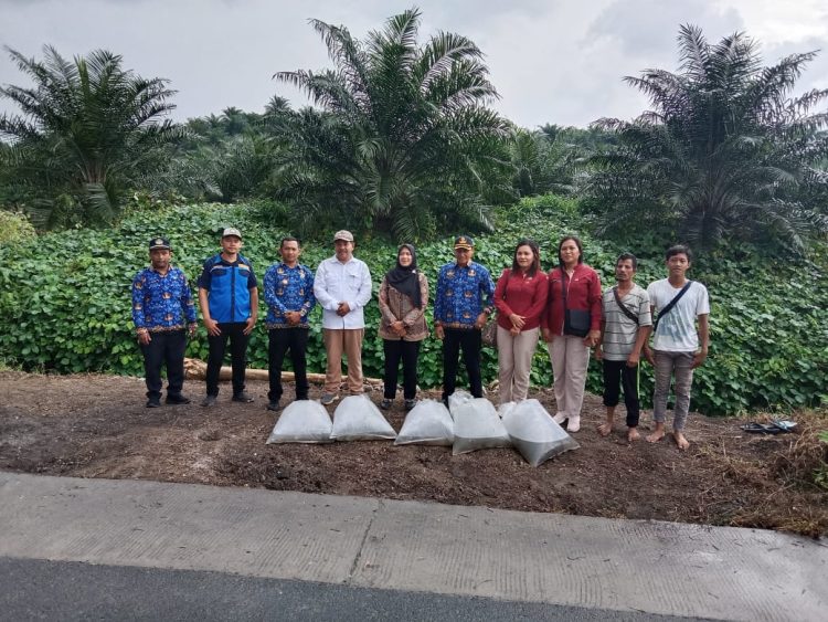 Karang taruna: penebaran bibit nila di setia negara hanya seremoni penebaran bibit ikan nila di jalan lapangan tembak langsung oleh wakil walikota herlina. ist