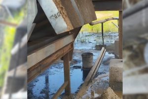 Pt rejeki abadi sambosar kelola pks dengan konsep peduli lingkungan pt rejeki abadi sambosar kelola pks dengan konsep peduli lingkungan