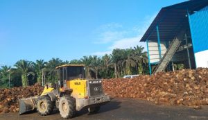 Pt rejeki abadi sambosar kelola pks dengan konsep peduli lingkungan pt rejeki abadi sambosar kelola pks dengan konsep peduli lingkungan