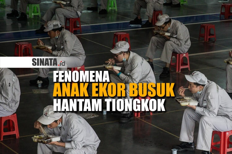 ketidaksesuaian antara latar belakang pendidikan dan peluang kerja yang tersedia telah melahirkan fenomena “anak ekor busuk” di tiongkok.