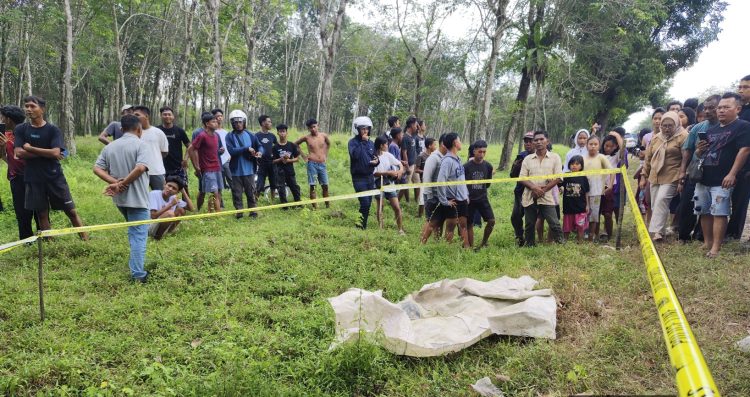 Mayat di kebun bridgestone, hasil pemeriksaan ditemukan luka serius di tubuh korban petugas kepolisian memasang garis polisi di lokasi temuan mayat. ist