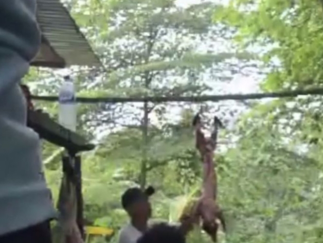 video penyiksaan anjing di kutai barat viral, aktivis desak polisi tindak tegas