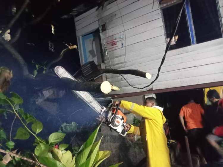 bencana angin kencang disertai hujan deras akibatkan pohon tumbang menimpa rumah warga. (dok bpbd pematangsiantar)