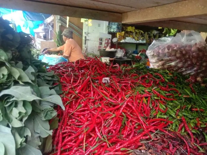 Harga Cabai Merah di Toba Tembus Rp60 Ribu per Kg