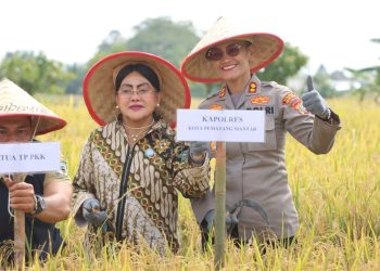 panen raya di siantar, kapolres dan pemko dorong penguatan ketahanan pangan