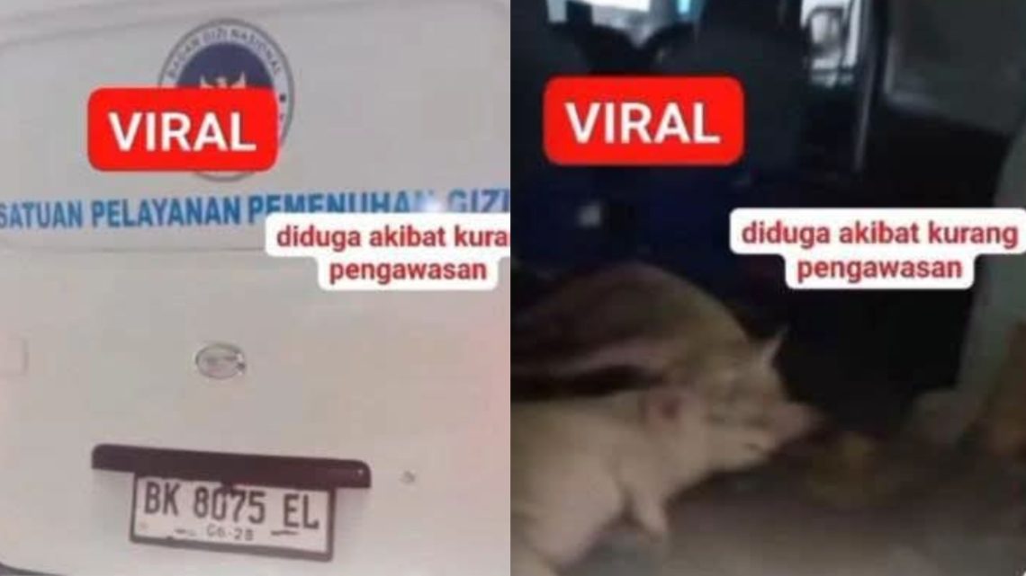 Viral mobil sppg angkut babi di nias selatan, bgn: calon mitra yang belum terverifikasi tangkapan layar video yang viral. ist