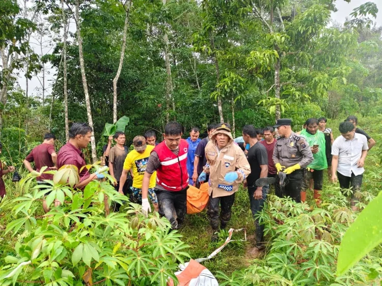 221 bencana hantam sumut empat hari tanpa henti, jumlah korban terus bertambah korban bencana sumut memuncak, 221 kejadian longsor, banjir, dan angin kencang menewaskan 43 orang, ratusan luka-luka, serta puluhan hilang.