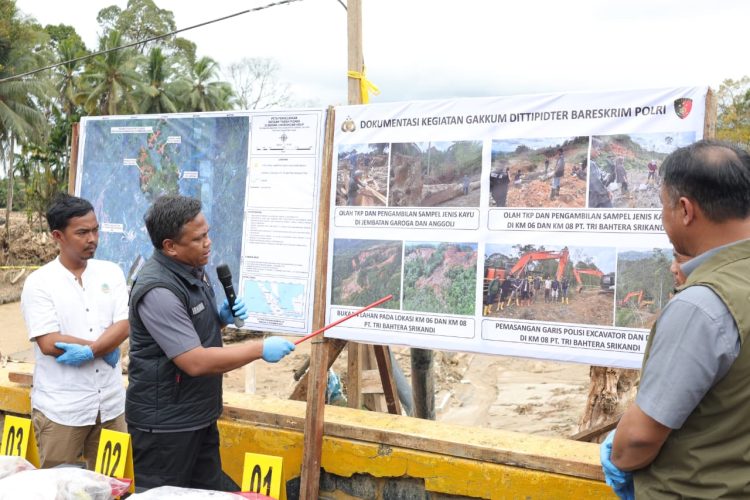 Bareskrim selidiki jejak gelondongan kayu diduga pemicu banjir bandang tapteng bareskrim polri mengungkap temuan gelondongan kayu raksasa yang menyumbat aliran sungai anggoli dan garuga hingga memicu banjir bandang di tapanuli tengah.