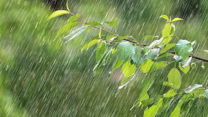 Bmkg modifikasi cuaca di enam provinsi untuk tekan banjir bmkg menggelar operasi modifikasi cuaca di enam provinsi sebagai langkah darurat menghadapi cuaca ekstrem.