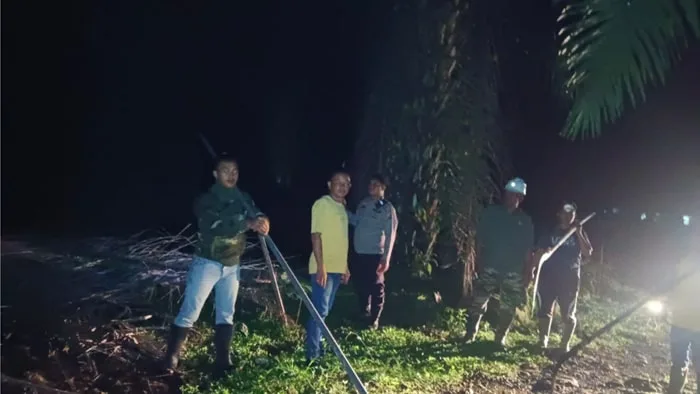 Curi sawit berton-ton, pria deli serdang diciduk, delapan pelaku masih diburu polisi mengamankan seorang pria berinisial mg (48) yang diduga terlibat curi sawit milik pt serdang hulu di kutalimbaru, deli serdang.