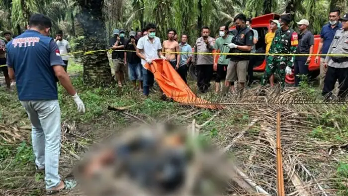 Pelajar smk ditemukan membusuk di kebun sawit tulang bawang, diduga korban pembunuhan pelajar smk ditemukan tewas dalam kondisi membusuk di perkebunan sawit tulang bawang, lampung. polisi menyelidiki dugaan pembunuhan.