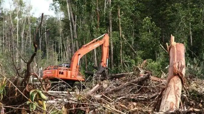 Pemerintah cabut 40 izin perusahaan pengelolaan hutan karena rusak lingkungan kementerian kehutanan akan mencabut 40 izin perizinan berusaha pemanfaatan hutan (pbph) dengan total luas lebih dari 1 juta hektare.