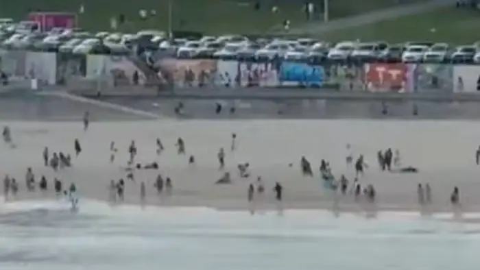 1 dari 2 pelaku penembakan pantai bondi ditembak mati polisi nsw mengonfirmasi dua pelaku penembakan pantai bondi, satu tewas di lokasi dan satu lainnya dilumpuhkan.